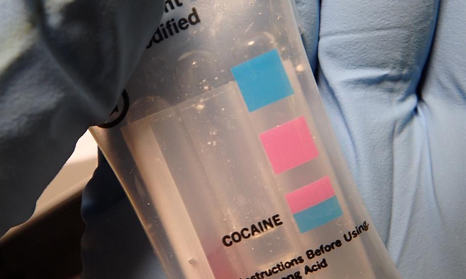 2017-3-16-828hlavní foto.jpg